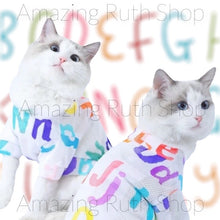 Load image into Gallery viewer, Cooling Mesh with Colourful Alphabet Print on Pet Clothing