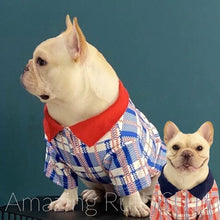 Load image into Gallery viewer, Pet Fashion, Cute Blue and Red Plaid Pet Polo, Pet Clothing