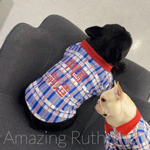 Load image into Gallery viewer, Pet Fashion, Cute Blue and Red Plaid Pet Polo, Pet Clothing