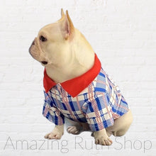 Load image into Gallery viewer, Pet Fashion, Cute Blue and Red Plaid Pet Polo, Pet Clothing