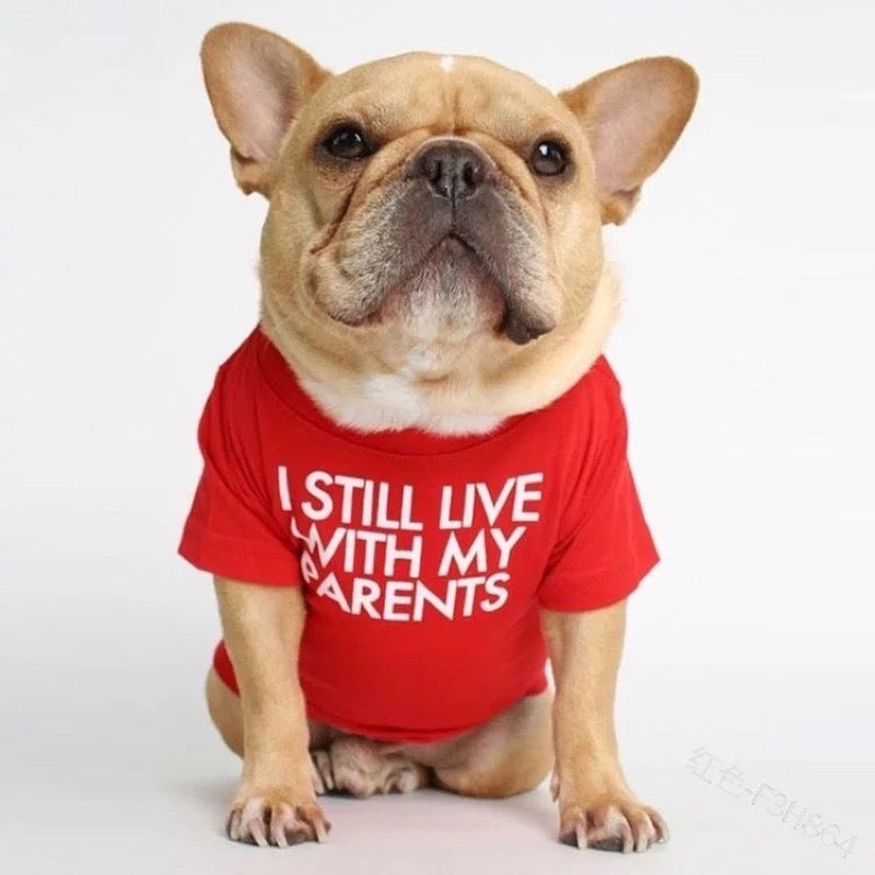 Pet T-Shirt with Print “I STILL LIVE WITH MY PARENTS”