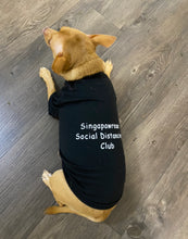 Load image into Gallery viewer, Singapawrean T-Shirt for Paw-Kid