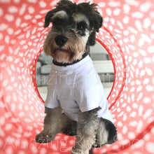 Load image into Gallery viewer, Big Pet T-Shirt, Big Dog Casual Smart T-Shirt, Pet Clothing