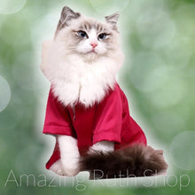 Load image into Gallery viewer, Luxury Soft Cooling Pet Shirt, Pet Clothing
