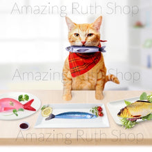 Load image into Gallery viewer, Cute Simulation Plush Fish, Catnip Cat Fish Toy Packed in Supermarket Seafood Tray
