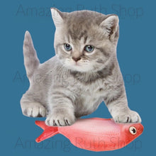 Load image into Gallery viewer, Cute Simulation Plush Fish, Catnip Cat Fish Toy Packed in Supermarket Seafood Tray
