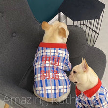 Load image into Gallery viewer, Pet Fashion, Cute Blue and Red Plaid Pet Polo, Pet Clothing
