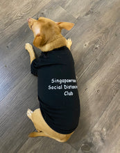 Load image into Gallery viewer, Singapawrean T-Shirt for Paw-Kid
