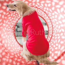Load image into Gallery viewer, Big Pet T-Shirt, Big Dog Casual Smart T-Shirt, Pet Clothing
